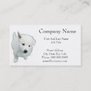 Recherche de white photographie Dog