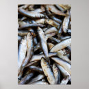 Search for up and fish posters Food