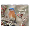 Search for robin bird calendars Birds