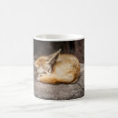 Search for fennec mugs Animals