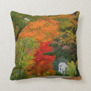 Search for new england pillows Fall