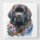 Search for newfoundland clocks Black