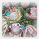 Recherche de buisson autocollants Floraison