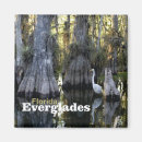Search for florida souvenir magnets Water