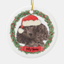 Search for red poodle ornaments Green