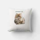 Search for cat sitting pillows Kitten