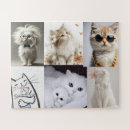Search for pet photo puzzles Cats