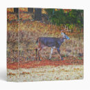 Search for buck binders Hunter