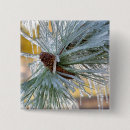 Recherche de aiguille badges Hiver