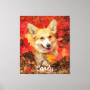 Search for herd dog art Animal