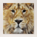 Recherche de chat sauvage puzzles Zoo