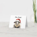 Search for fleece cards Sheep