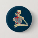 Search for skeleton bones buttons Anatomy