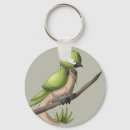 Search for ave keychains Bird