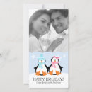 Recherche de pingouin Couple