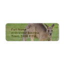 Search for kangaroo return address labels Marsupial