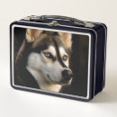 Search for husky lunch boxes Animal