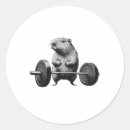 Search for sculpt stickers Bodybuilding style