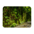 Recherche de national park magnets Paysage