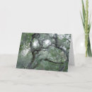 Search for oak tree cards Thinking of you