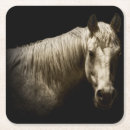 Search for horse coasters White