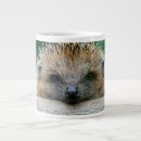 Search for hedgehog baby mugs Mammal