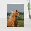 Search for bob cards Palomino