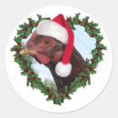 Search for red chicken stickers Farm animal