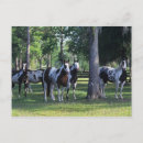 Recherche de peindre cartes postales Cheval