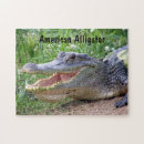Recherche de alligator puzzles Sauvage