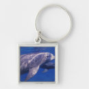 Search for bradley keychains Swim