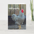 Search for plymouth cards Chicken