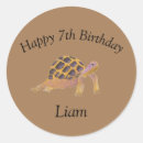 Search for cute tortoise stickers Pretty