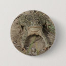 Search for will be toad buttons Toads