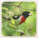 Recherche de oiseau rose dessous de verres Photographie