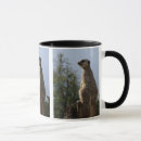 Search for meerkats mugs Sentry