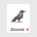 Search for black raven birds stickers Animal