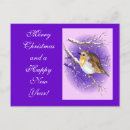 Search for robin redbreast christmas cards Xmas