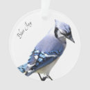 Search for blue jay ornaments Wildlife