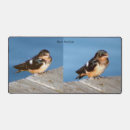 Search for swallow mousepads Bird