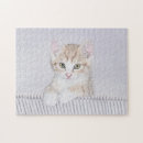 Search for tabby cat puzzles Orange