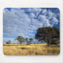 Search for drying mousepads Landscape