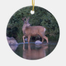 Search for mule ornaments Buck