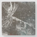 Search for trout coasters Fly