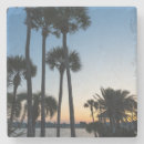 Search for palm tree coasters Sunrise