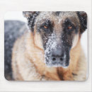 Recherche de neige couverte tapis souris Hiver