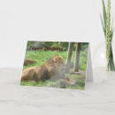 Recherche de crane anniversaire cartes Animal