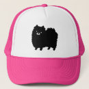 Search for pomeranian hats Dog