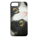Search for cat lover cases Kitty