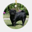 Search for black pug ornaments Dog